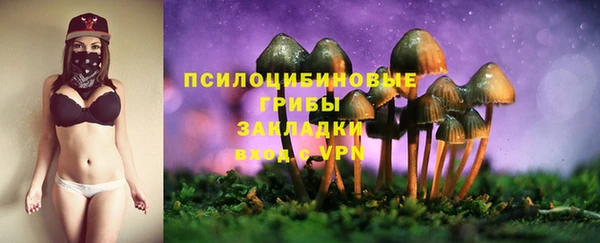 марки nbome Богородицк