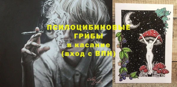PSILOCYBIN Богданович