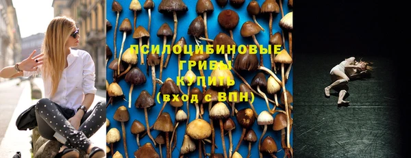 PSILOCYBIN Богданович