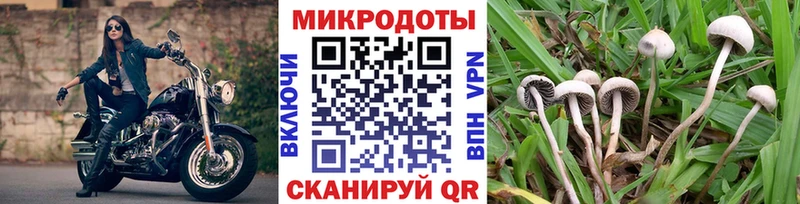 Псилоцибиновые грибы GOLDEN TEACHER  ссылка на мегу рабочий сайт  Кущёвская 